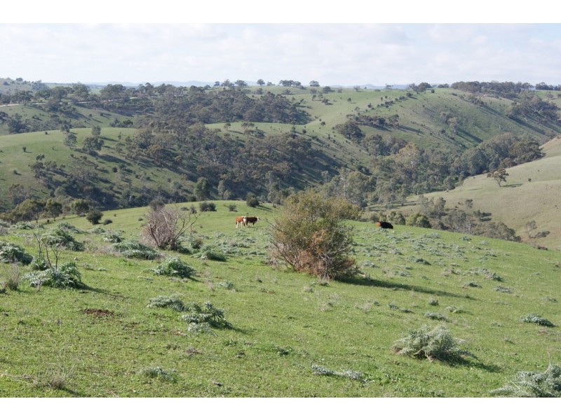 Lot 13 Allendale Road, Kalbeeba SA 5118