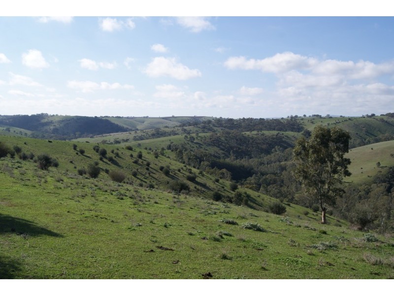 Lot 13 Allendale Road, Kalbeeba SA 5118
