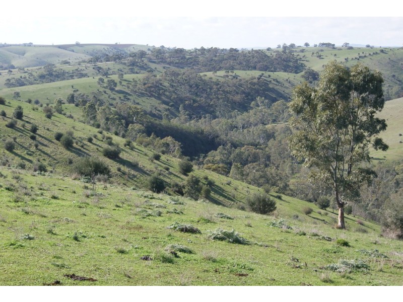Lot 13 Allendale Road, Kalbeeba SA 5118