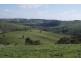 Lot 13 Allendale Road, Kalbeeba SA 5118