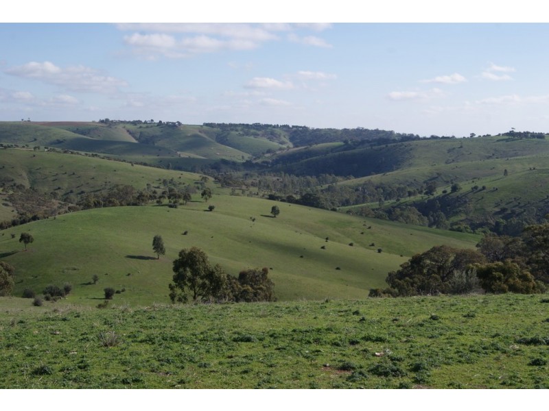 Lot 13 Allendale Road, Kalbeeba SA 5118