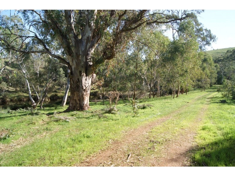 Lot 13 Allendale Road, Kalbeeba SA 5118