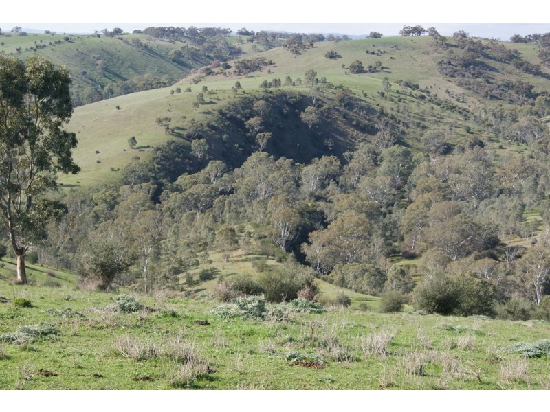 Lot 13 Allendale Road, Gawler SA 5118