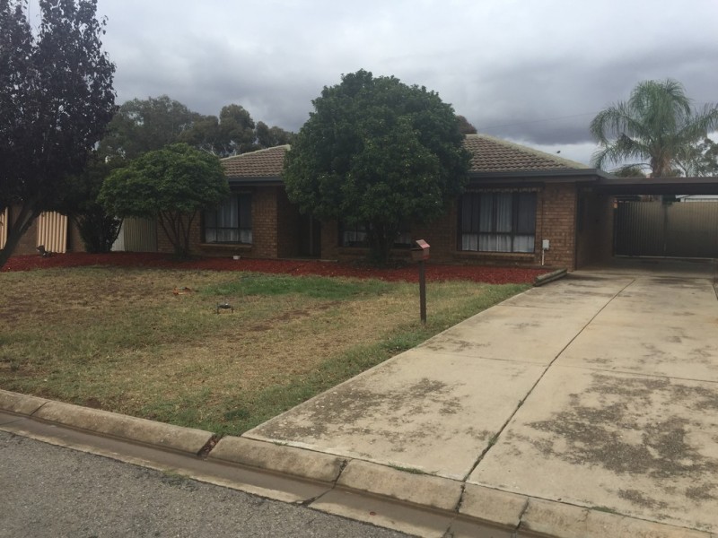 22 Holness Avenue, Gawler East SA 5118