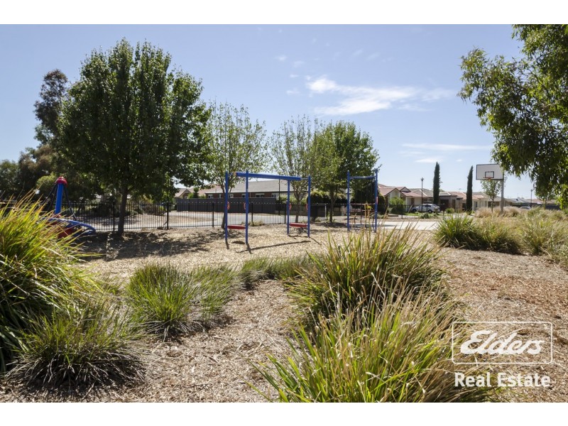 8 Albert Court, Andrews Farm SA 5114