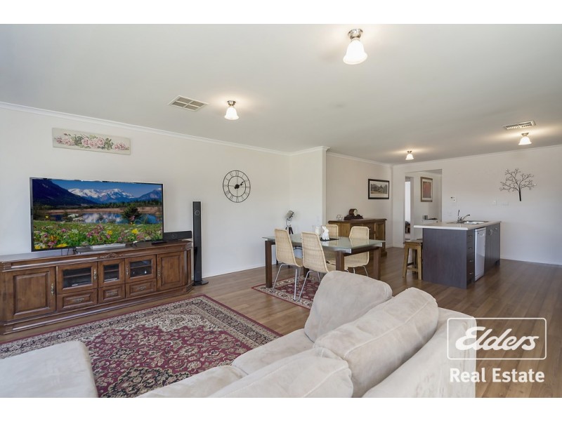 8 Albert Court, Andrews Farm SA 5114