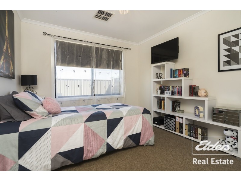 8 Albert Court, Andrews Farm SA 5114