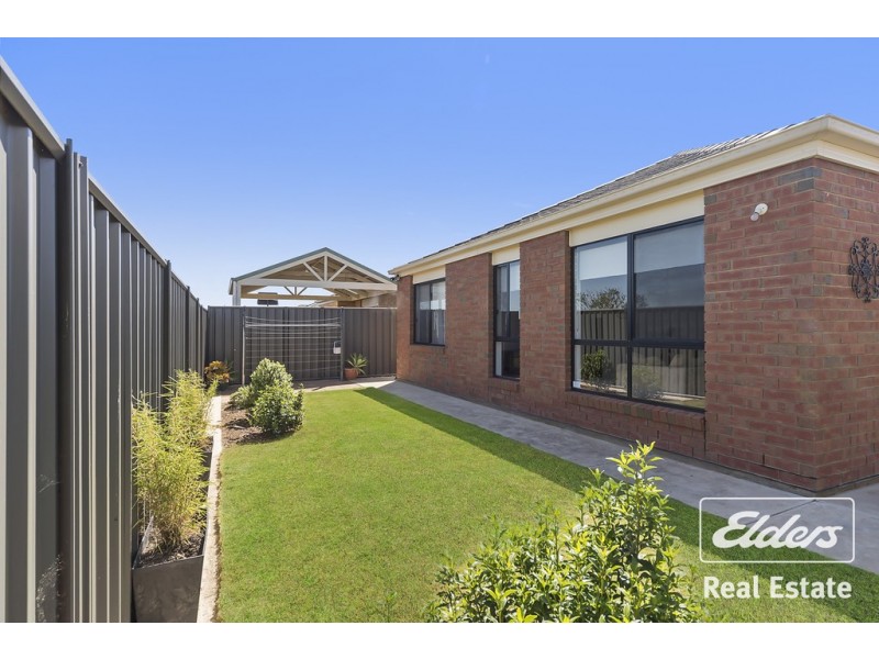 8 Albert Court, Andrews Farm SA 5114