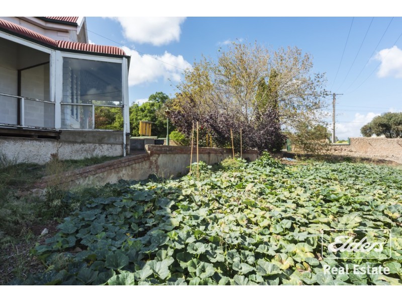 8 Lyndoch Road, Gawler East SA 5118