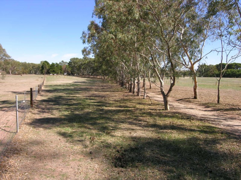 44 Goldfields Road, Cockatoo Valley SA 5351