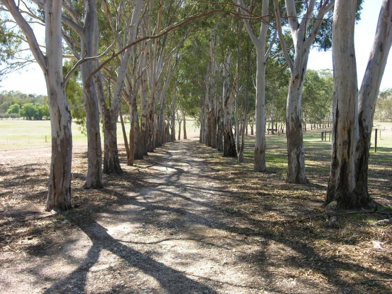 44 Goldfields Road, Cockatoo Valley SA 5351