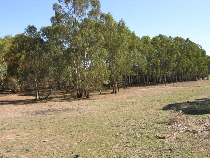 44 Goldfields Road, Cockatoo Valley SA 5351