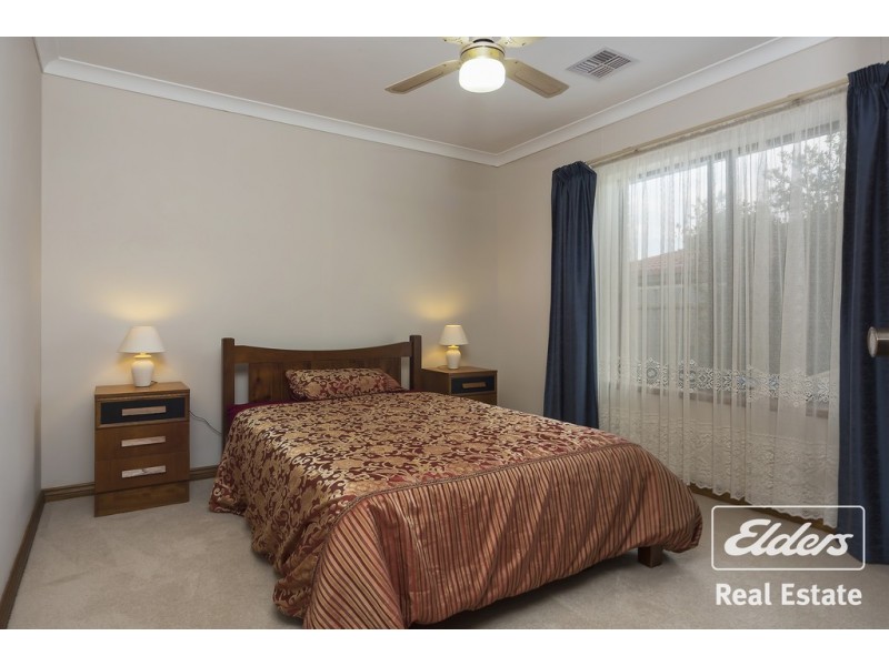 49 Fradd Road, Angle Vale SA 5117