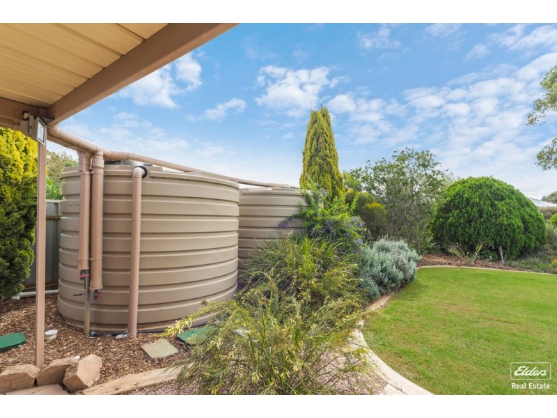 49 Fradd Road, Angle Vale SA 5117