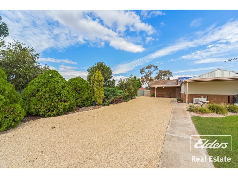 49 Fradd Road, Angle Vale SA 5117