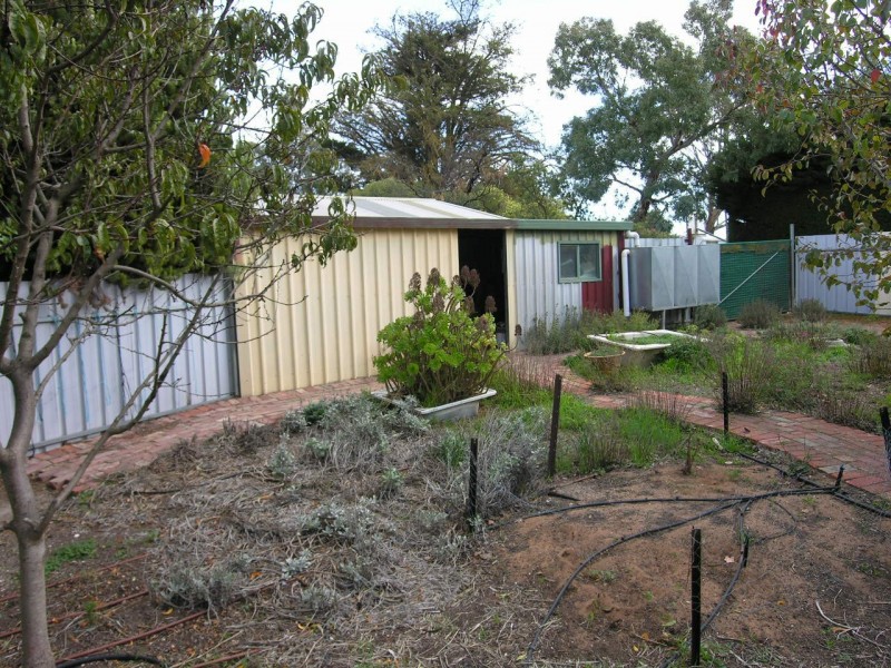 38 Seiboths Road, Flaxman Valley SA 5235