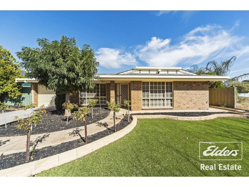 24 RAU AVENUE, Evanston SA 5116