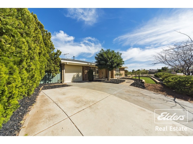 24 RAU AVENUE, Evanston SA 5116