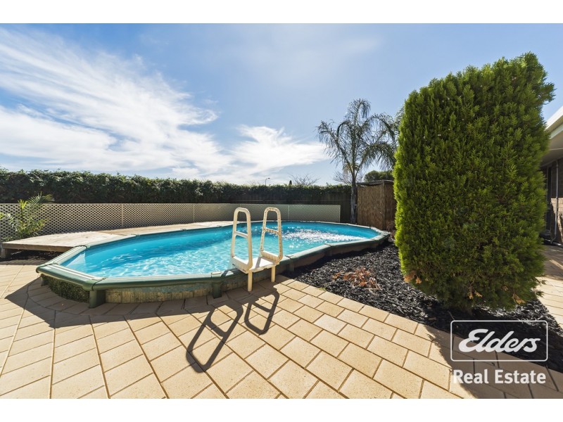 24 RAU AVENUE, Evanston SA 5116