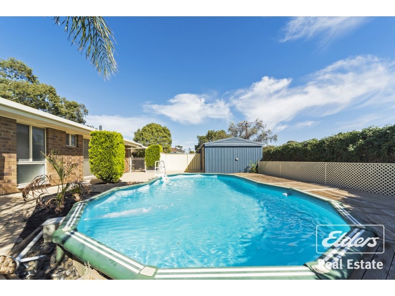 24 RAU AVENUE, Evanston SA 5116