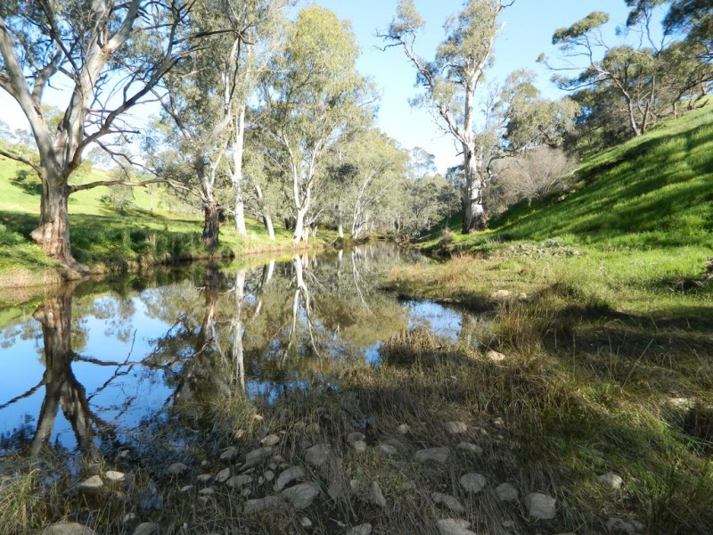 Lots 36 and 40 Riggs Road, Bibaringa SA 5118