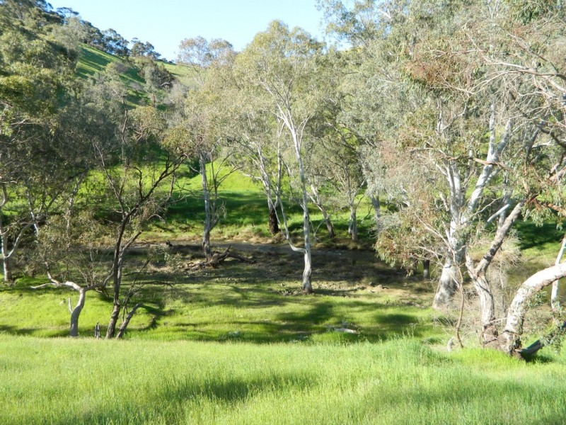 Lots 36 and 40 Riggs Road, Bibaringa SA 5118