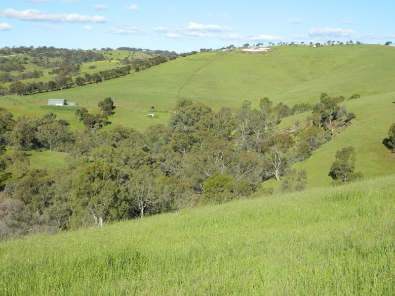 Lots 36 and 40 Riggs Road, Bibaringa SA 5118