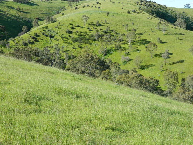 Lots 36 and 40 Riggs Road, Bibaringa SA 5118