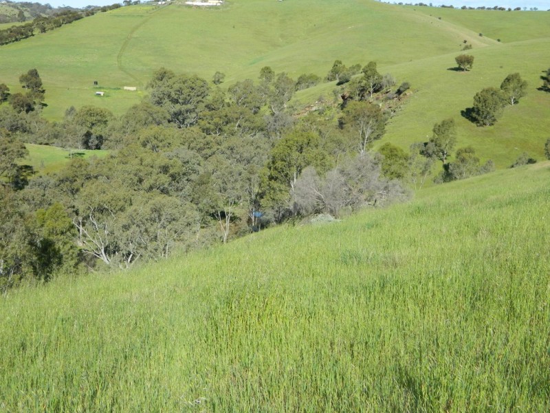 Lots 36 and 40 Riggs Road, Bibaringa SA 5118