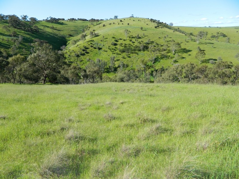 Lots 36 and 40 Riggs Road, Bibaringa SA 5118