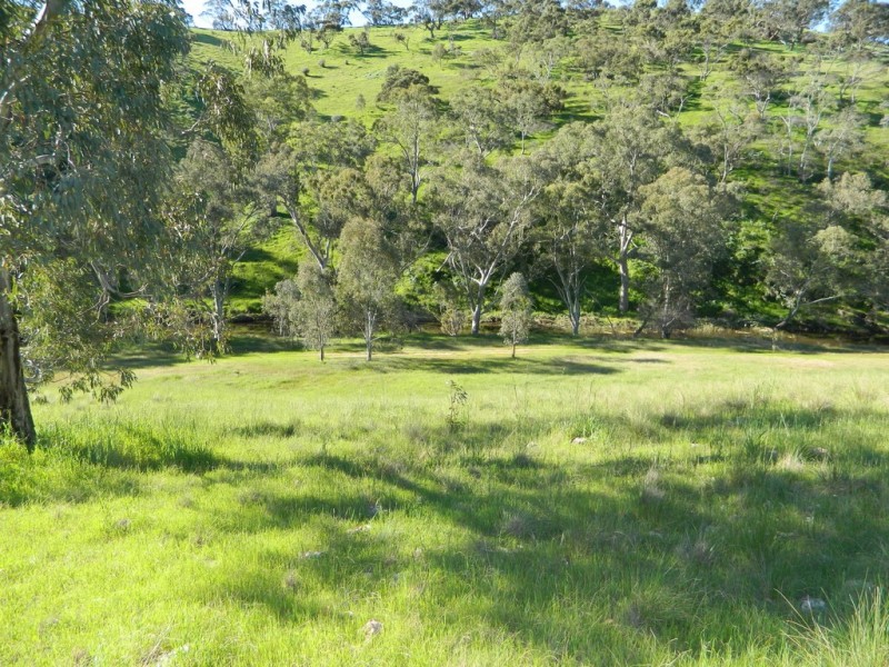 Lots 36 and 40 Riggs Road, Bibaringa SA 5118