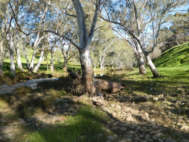 Lots 36 and 40 Riggs Road, Bibaringa SA 5118