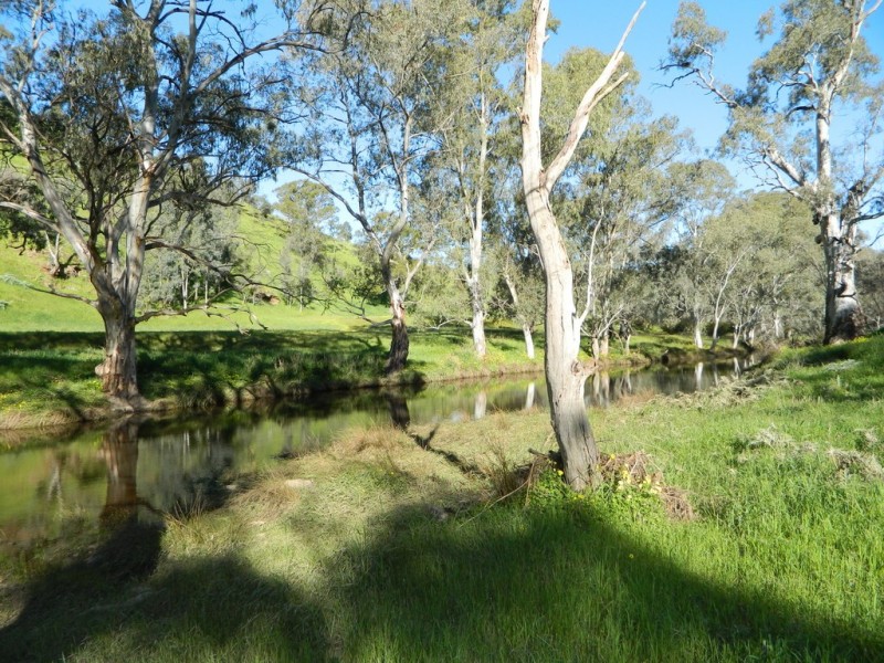 Lots 36 and 40 Riggs Road, Bibaringa SA 5118