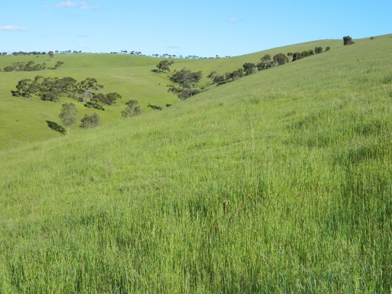 Lots 36 and 40 Riggs Road, Gawler SA 5118