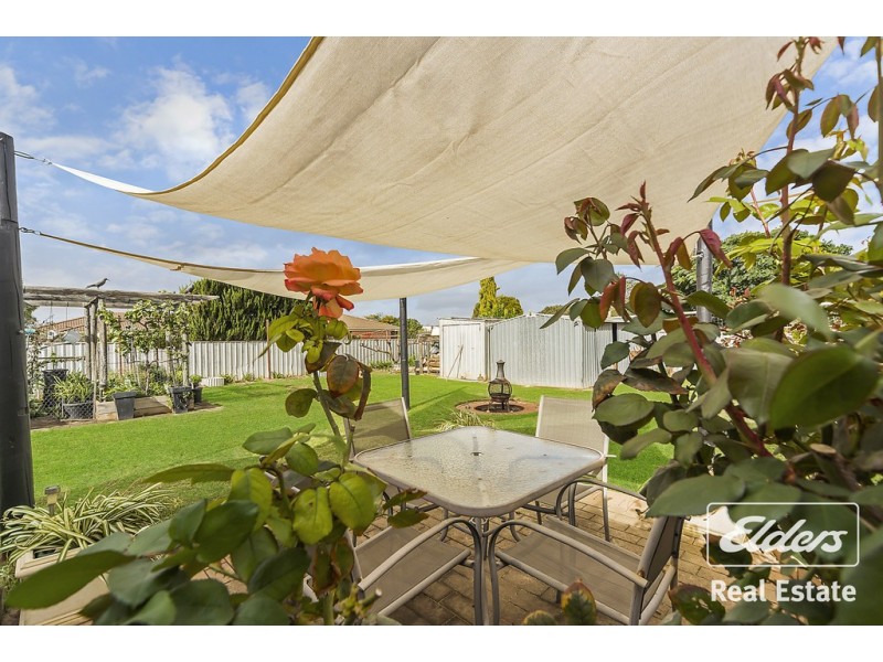 64 Dawkins Avenue, Willaston SA 5118