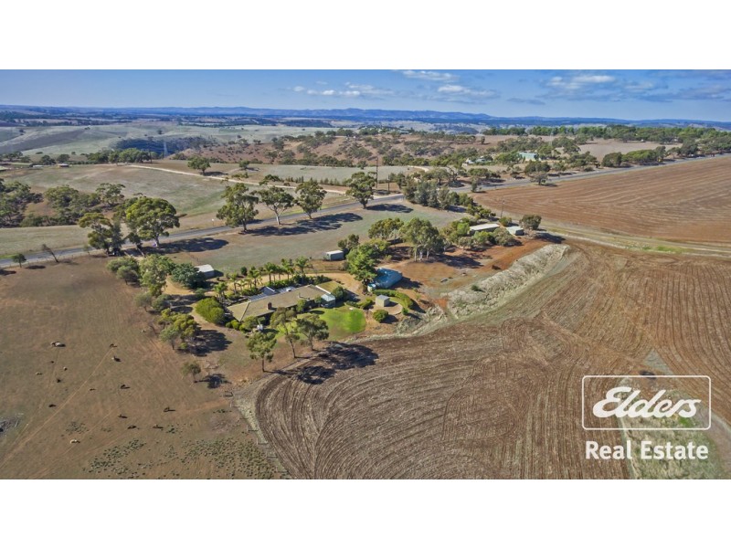 340 Gawler One Tree Hill Road, Evanston Park SA 5116