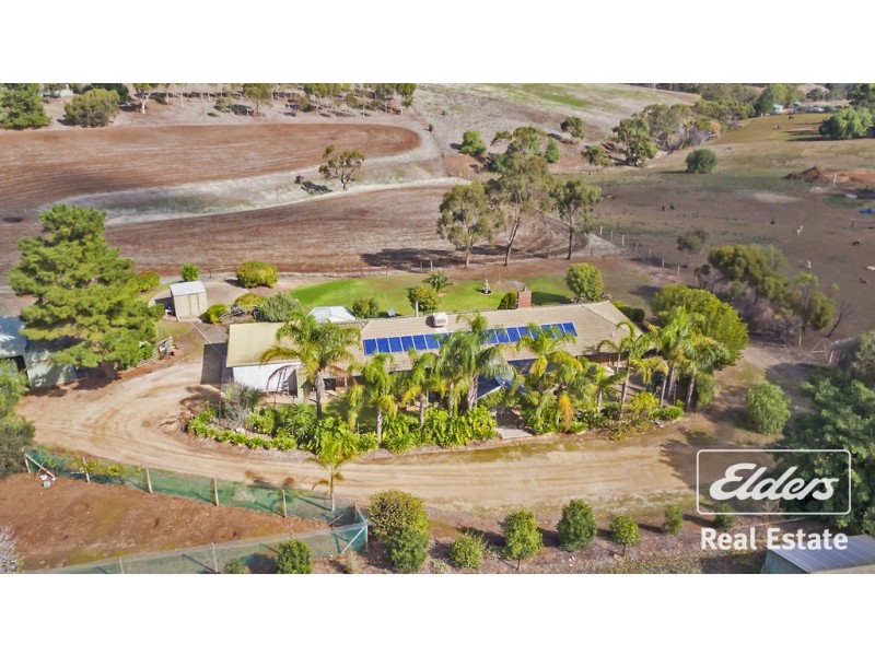 340 Gawler One Tree Hill Road, Evanston Park SA 5116