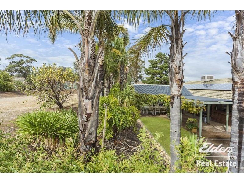340 Gawler One Tree Hill Road, Evanston Park SA 5116