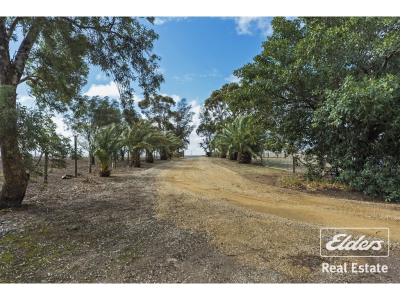 340 Gawler One Tree Hill Road, Evanston Park SA 5116