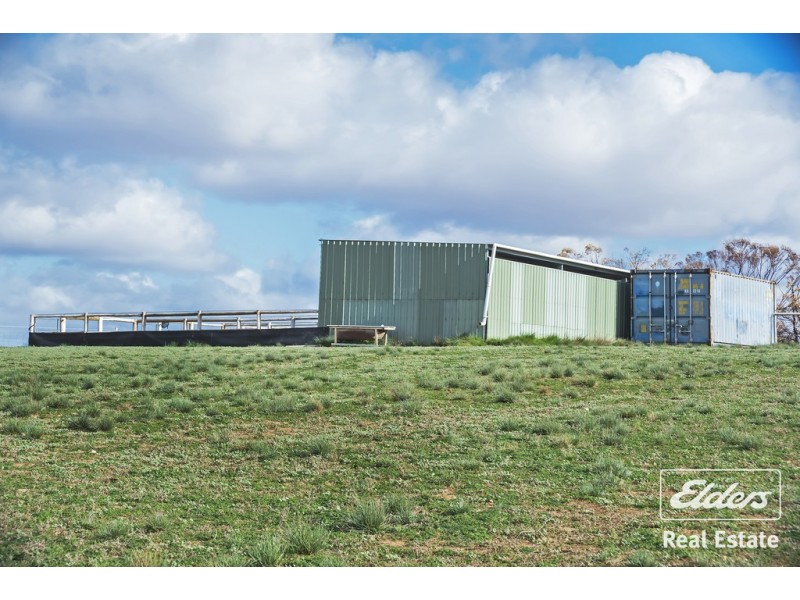 Lot 302 South Street, Hamley Bridge SA 5401