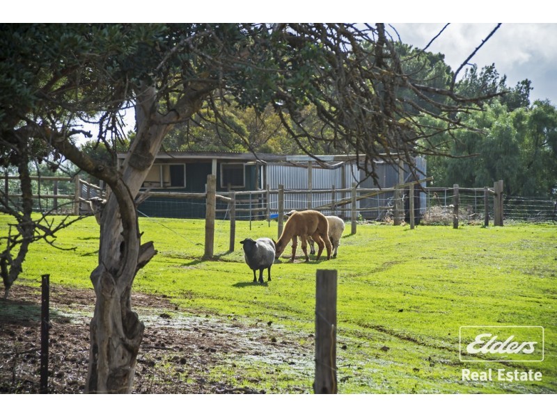 Lot 302 South Street, Hamley Bridge SA 5401