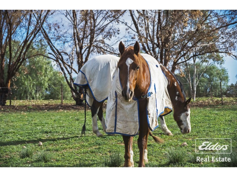 Lot 302 South Street, Hamley Bridge SA 5401