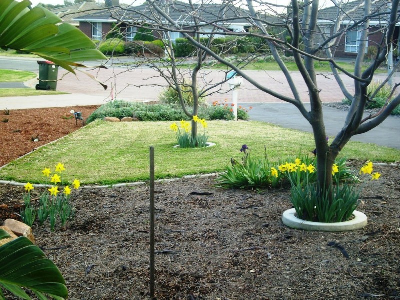 11 Houston Court, Evanston Gardens SA 5116