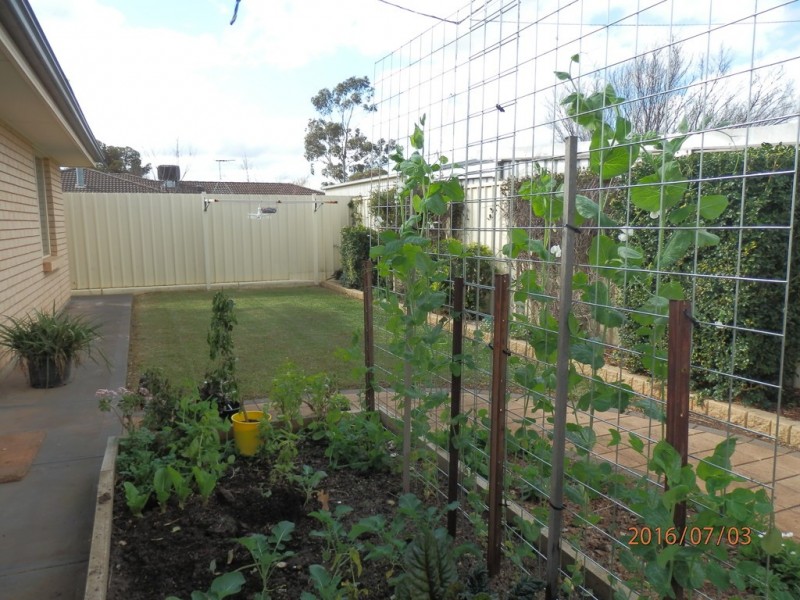 Unit 4/43 Chamberlain Road, Willaston SA 5118