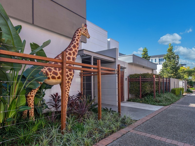 37 Macquarie Street, Teneriffe QLD 4005