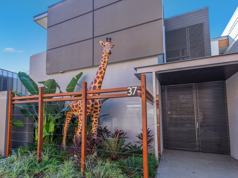 37 Macquarie Street, Teneriffe QLD 4005