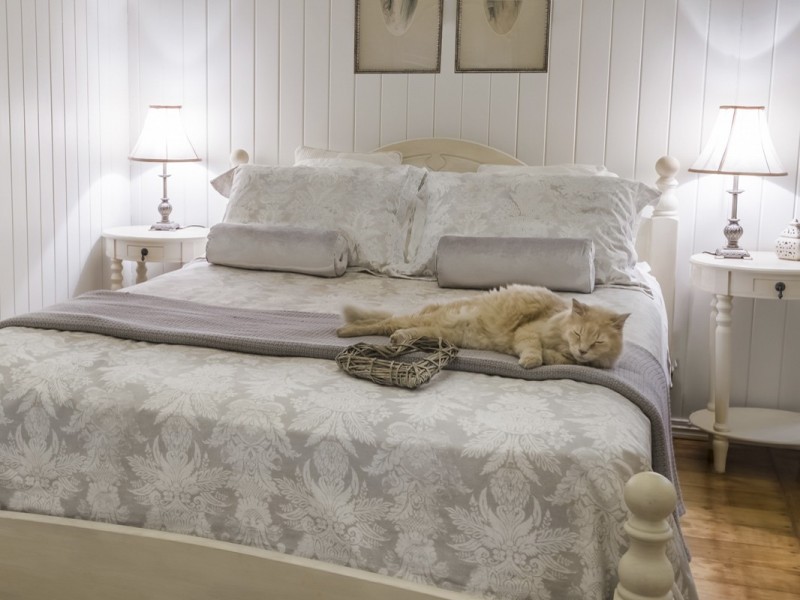 133 Bonney Ave, Clayfield QLD 4011