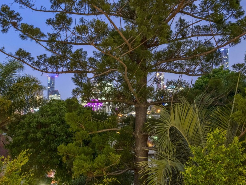 3 Gibbon Street, New Farm QLD 4005