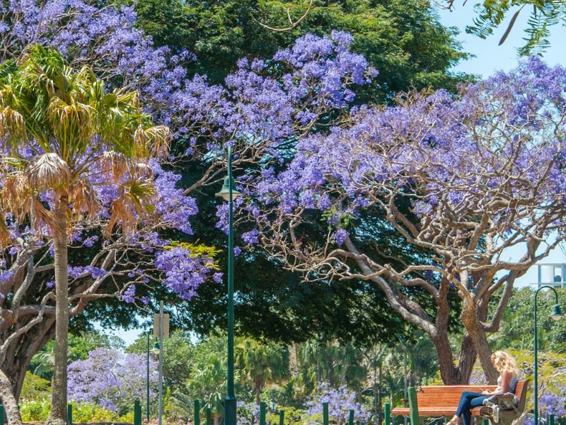 77/163 Sydney Street, New Farm QLD 4005