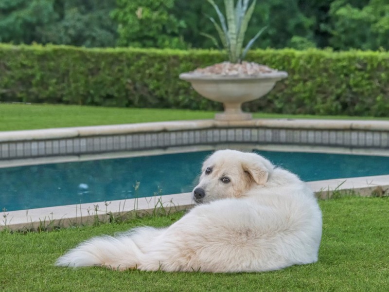 249 Upper Brookfield Road, Upper Brookfield QLD 4069